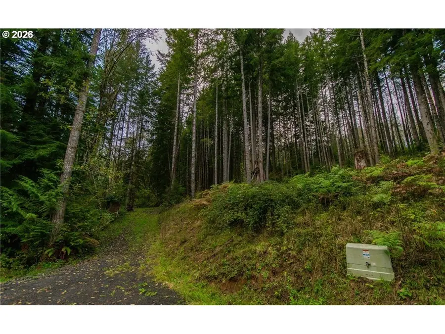 1 Lot Bison Run, Longview, WA 98632 - #3