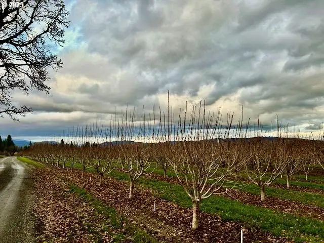 4100 Portland Dr, Hood River, OR 97031 - Image #1