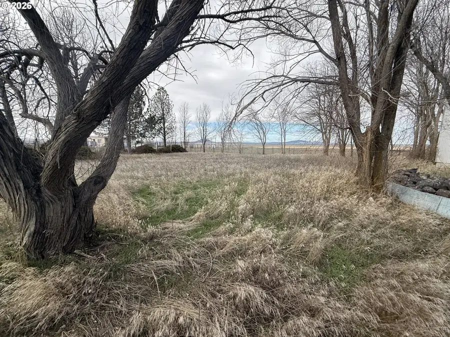 86271 Timothy Ln, Silver Lake Fort Rock, OR 97641 - #3