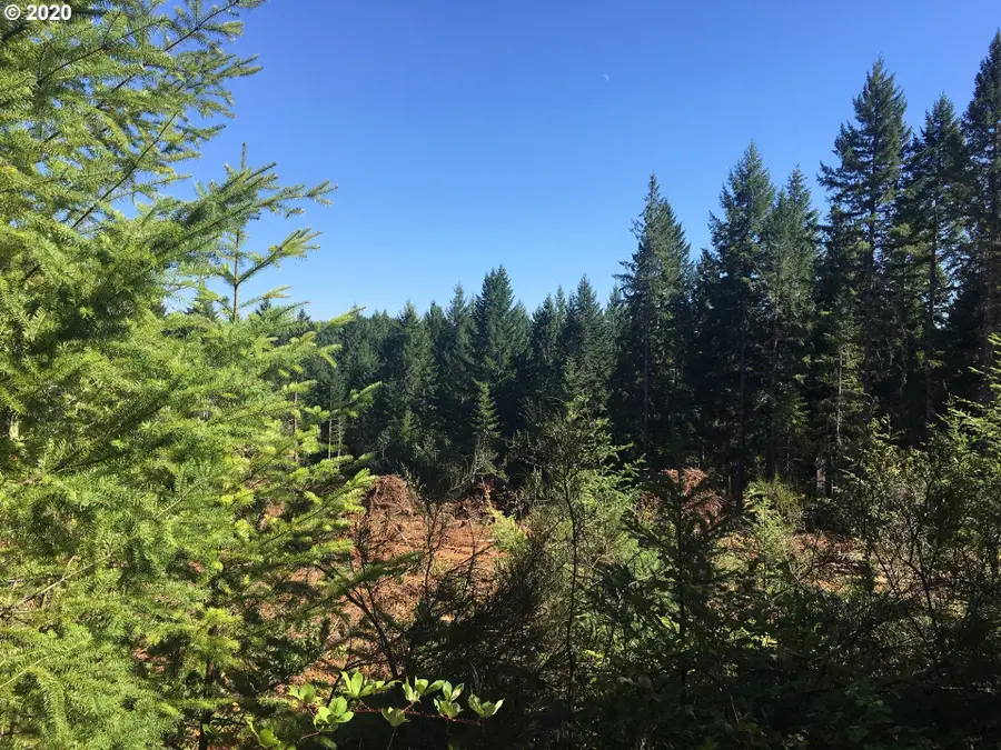 1 Fisk Rd, Noti, OR 97461 - Image #3