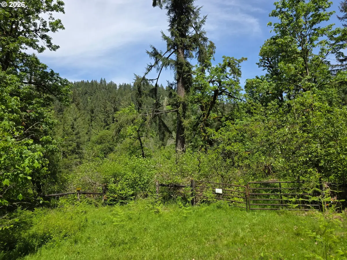 Lewis Cemetery Rd, Silverton, OR 97381 - #1