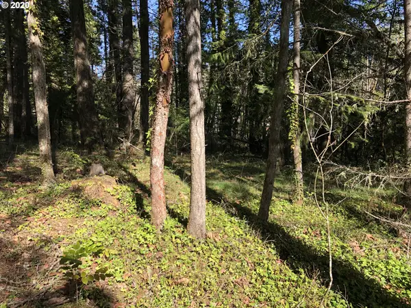 W Roberts Rd #6800, Oakridge, OR 97463