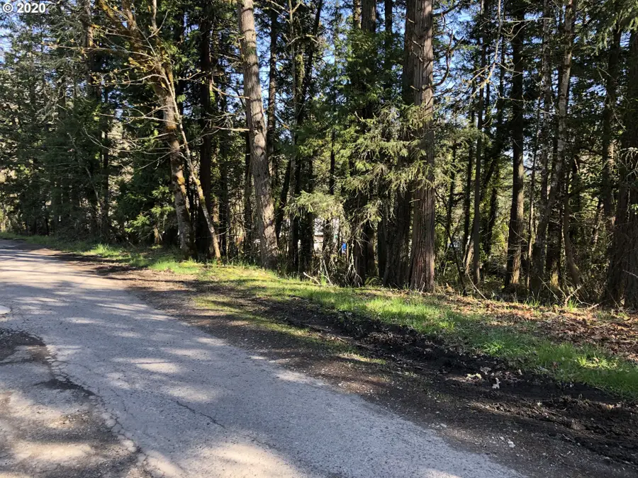 W Roberts Rd #6800, Oakridge, OR 97463 - Image #2