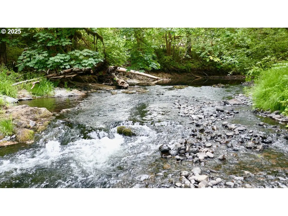 93933 Marcola Rd, Marcola, OR 97454 - Image #1