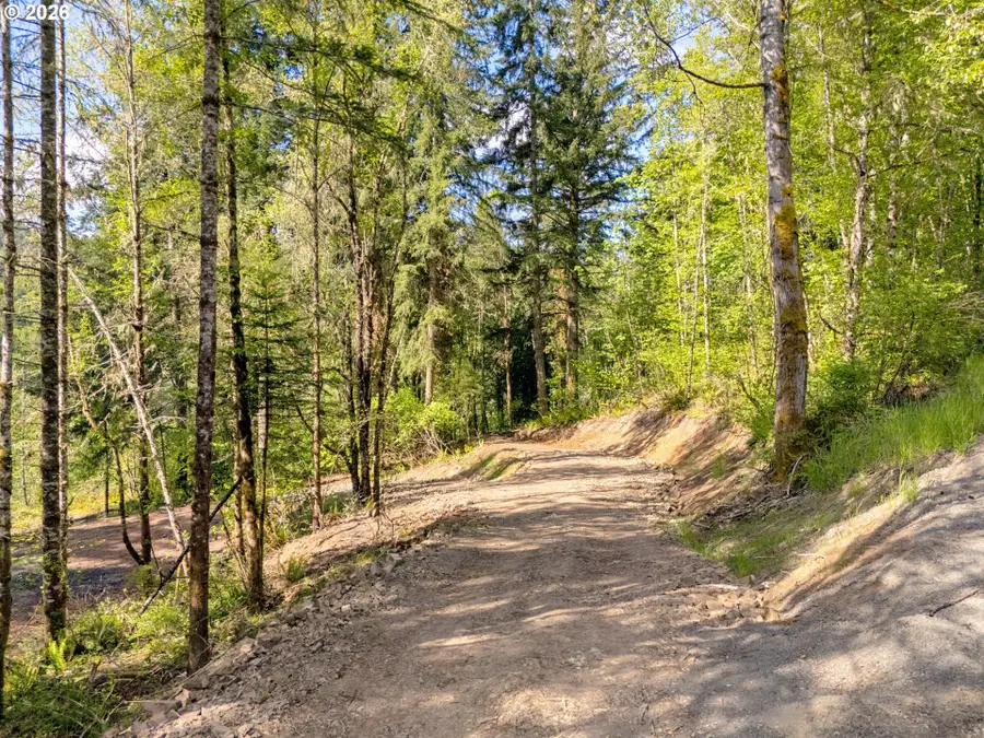 141 Old Spreadborough Rd, Kalama, WA 98625 - #2