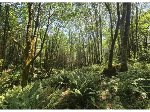 Tide Creek Rd, Rainier, OR 97048