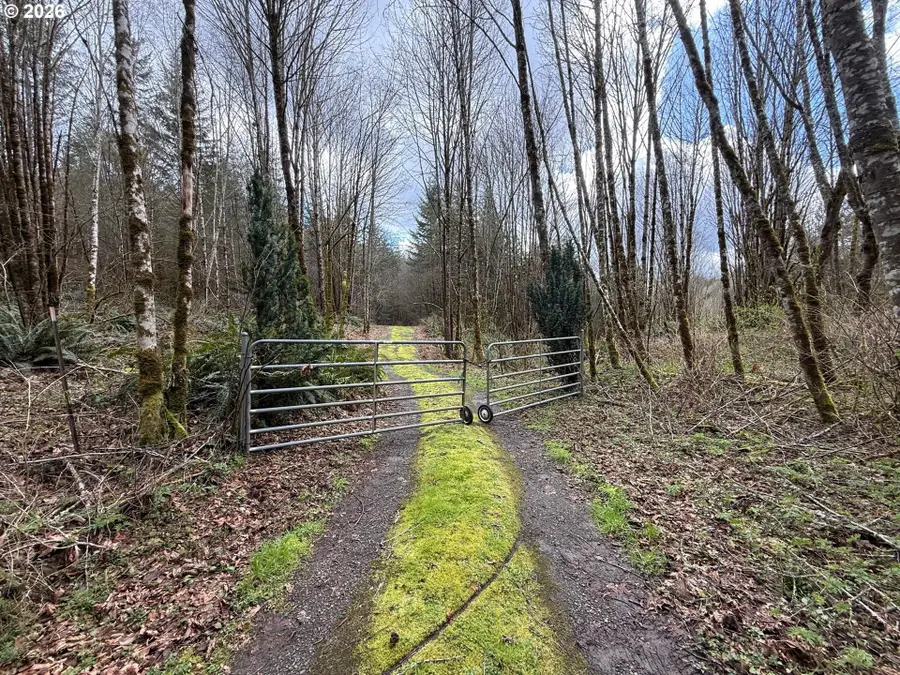Tide Creek Rd, Rainier, OR 97048 - #3