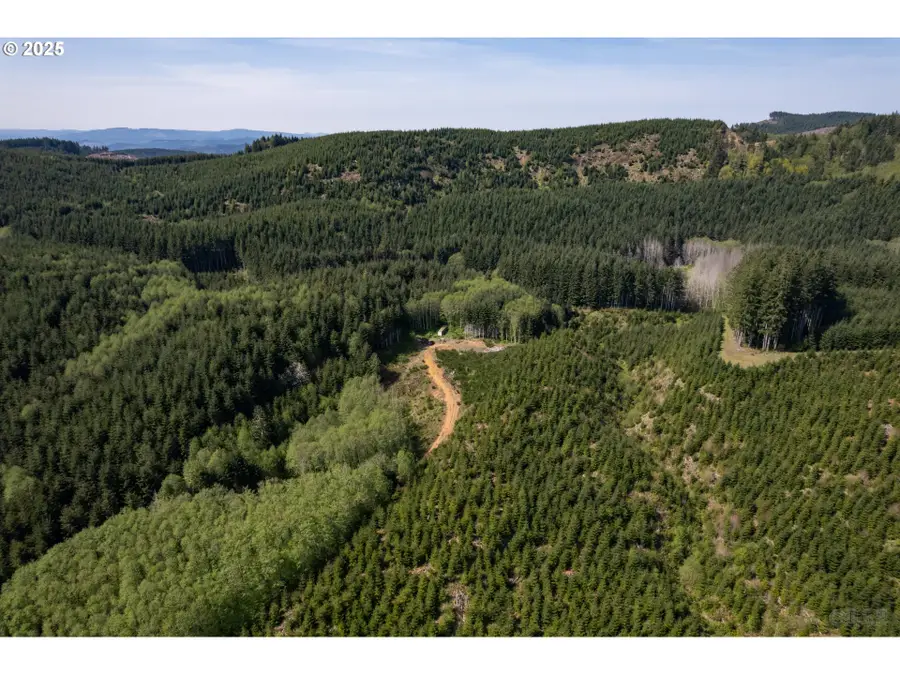 0 Conyers Creek, Clatskanie, OR 97016 - Image #3