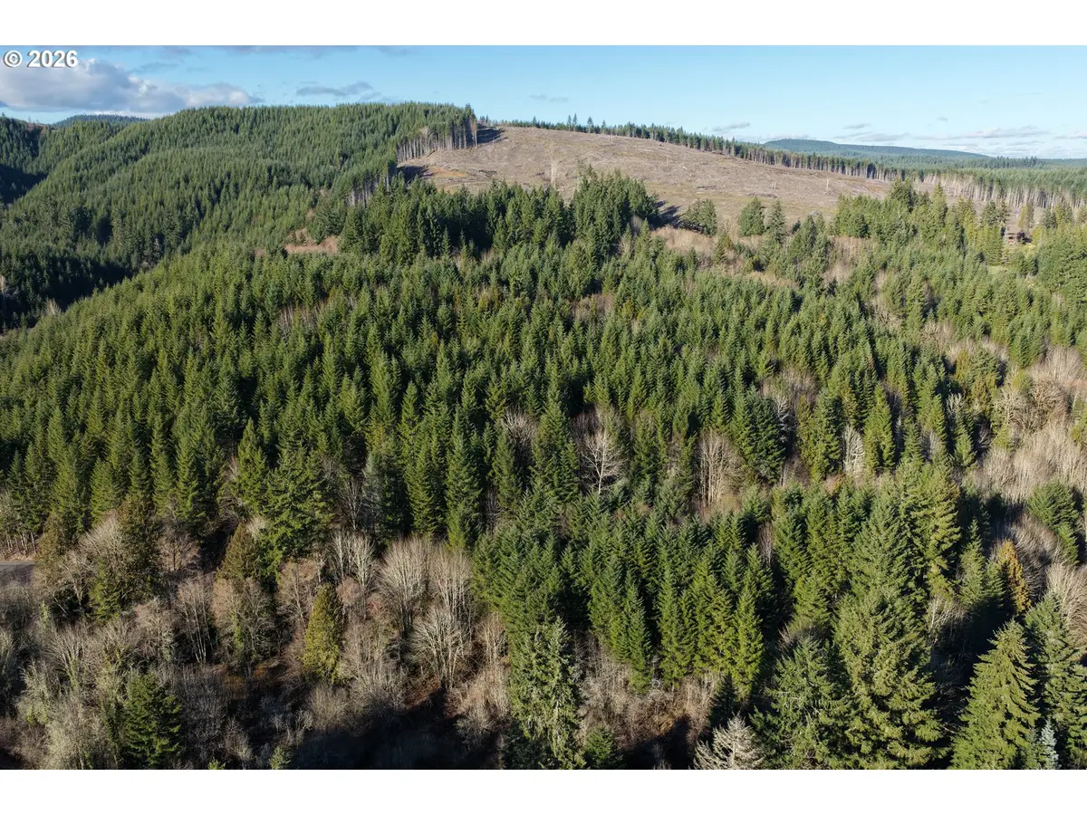 Scappoose Vernonia Hwy, Scappoose, OR 97056 - #1