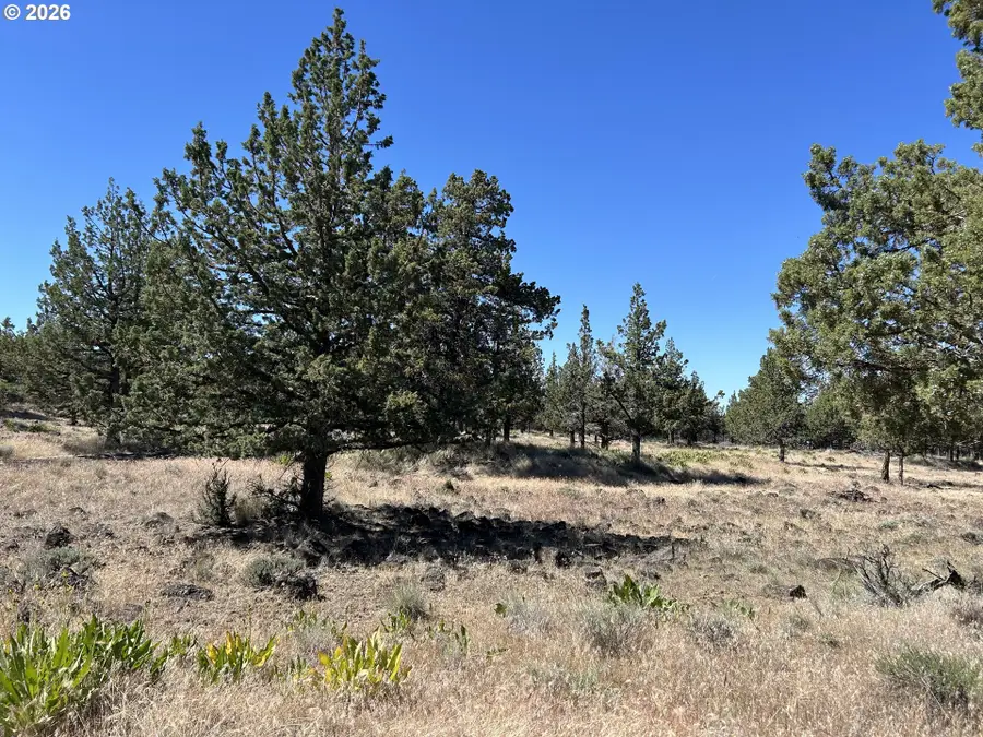13330 SW Airstrip Ln, Culver, OR 97734 - #3