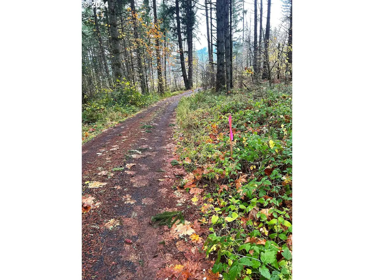 Unassigned, Corvallis, OR 97330 - #1
