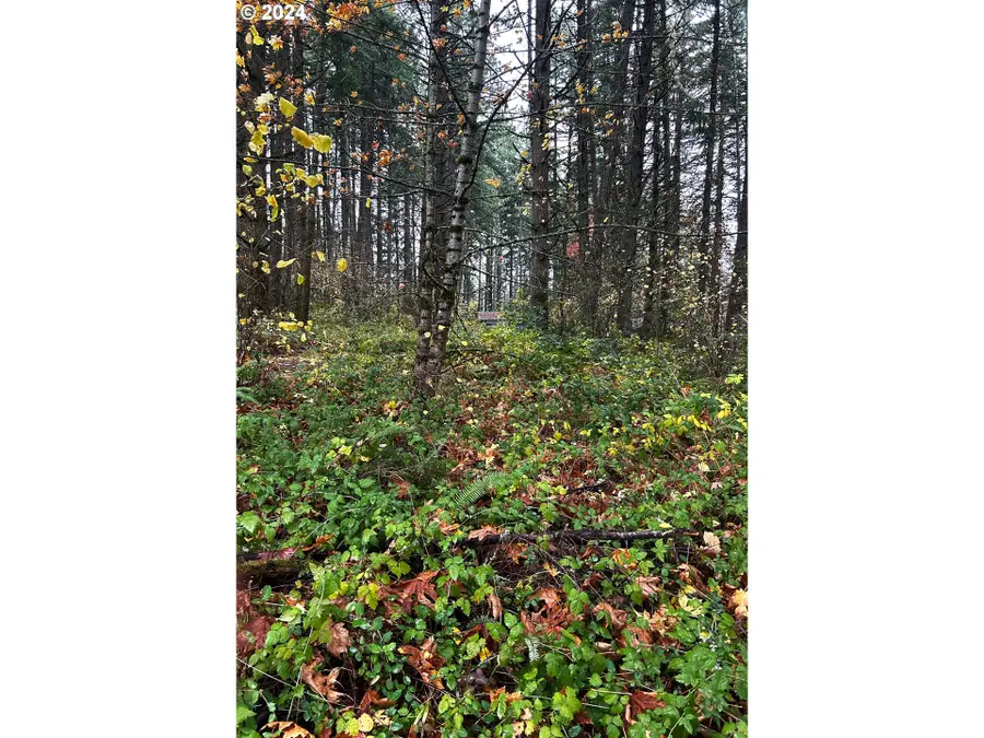 Unassigned, Corvallis, OR 97330 - #3