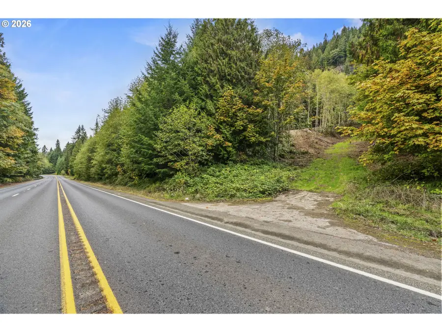 E State Route 4, Cathlamet, WA 98612 - #3