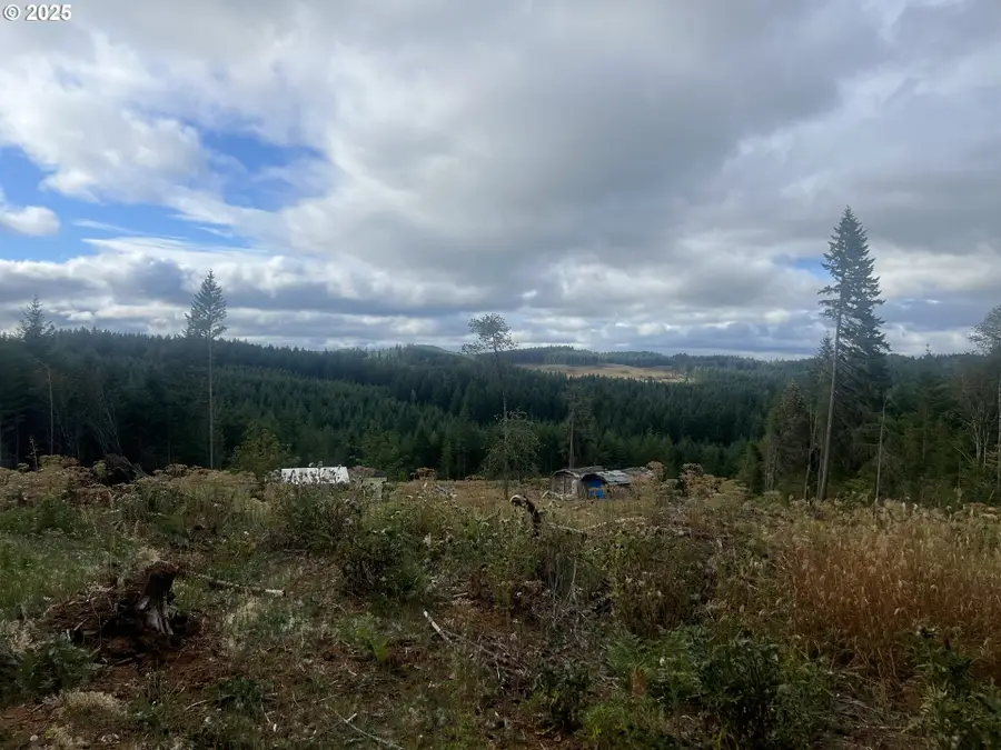 89975 Sheffler Rd, Elmira, OR 97437 - Image #3