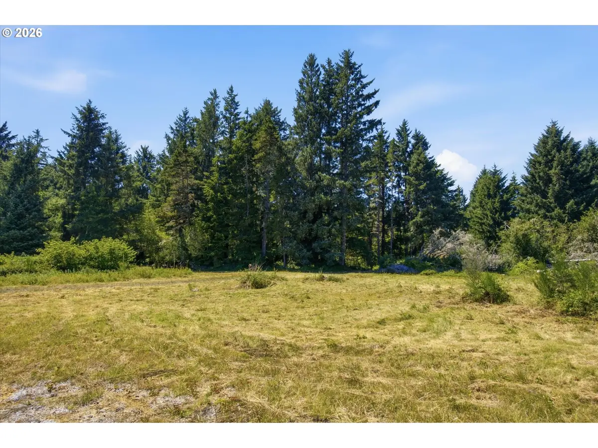9905 Sandridge Rd, Long Beach North Beach Peninsula, WA 98631 - #1