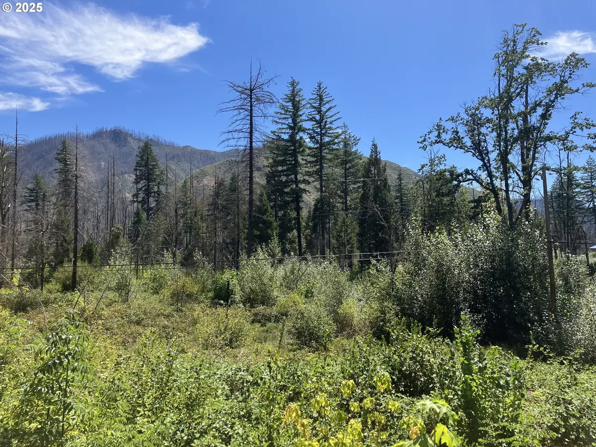 Blue River Dr, Vida, OR 97413 - Image #1