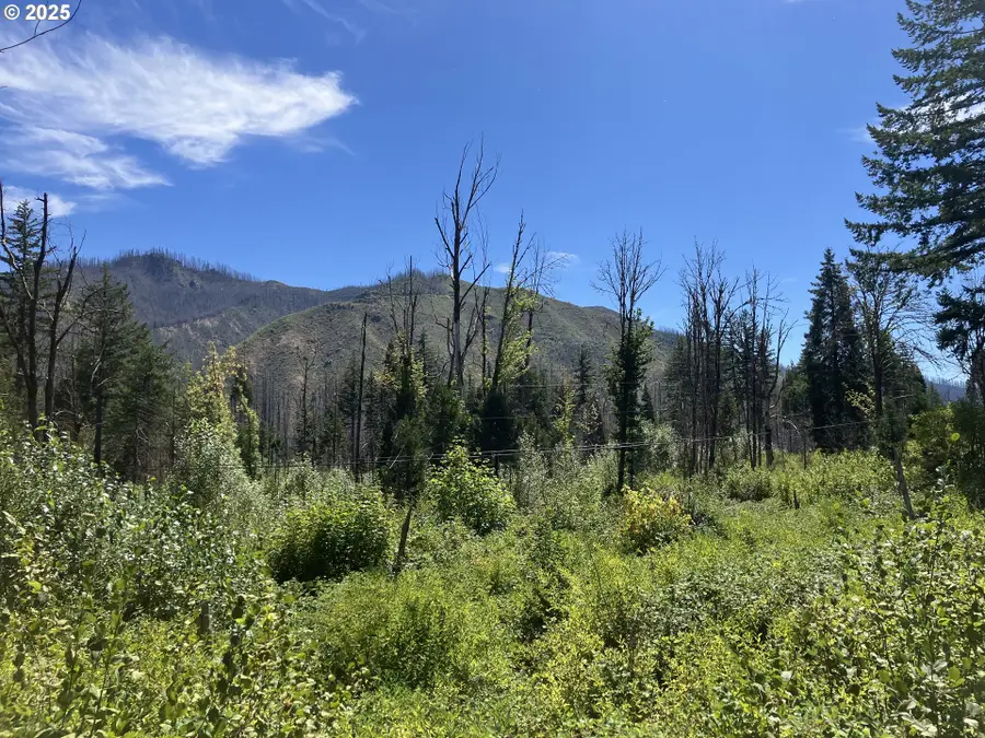 Blue River Dr, Vida, OR 97413 - Image #2