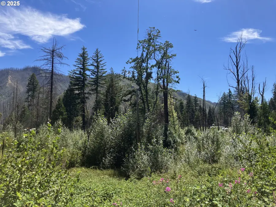 Blue River Dr, Vida, OR 97413 - Image #3