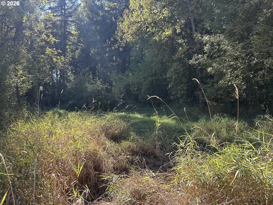 0 Monroe Cemetery Rd, Monroe, OR 97456 - #2