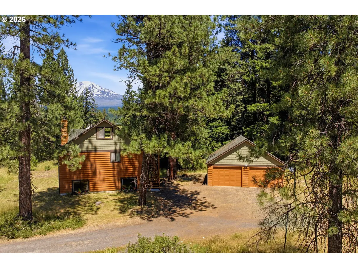 81 Lava Rd, Trout Lake, WA 98650 - #1