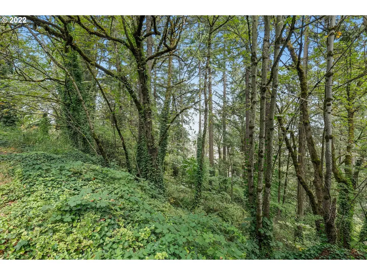 E Side Nw Germantown Rd, Portland, OR 97231 - Image #1