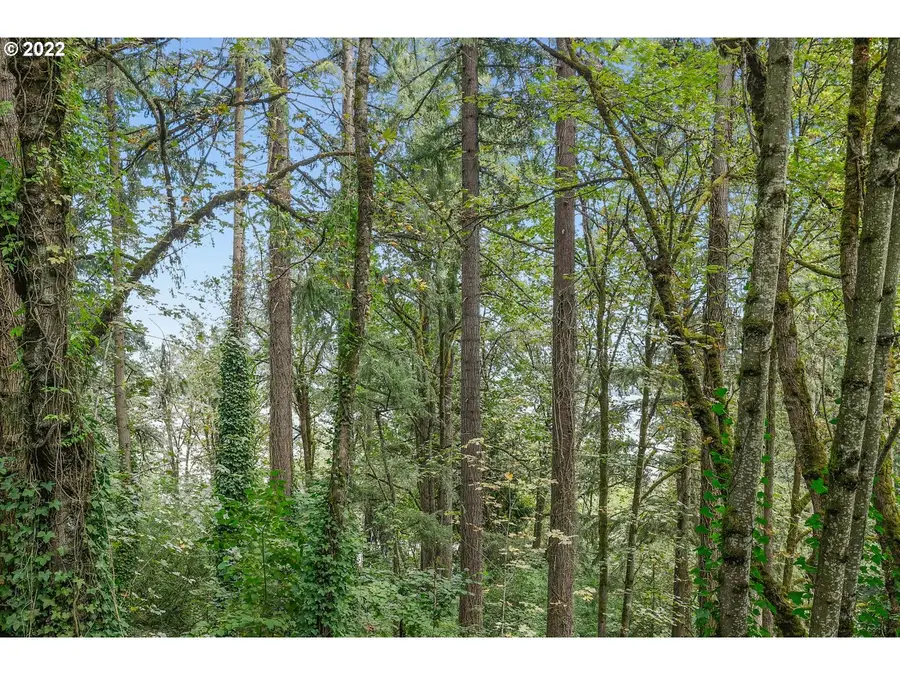 E Side Nw Germantown Rd, Portland, OR 97231 - Image #3