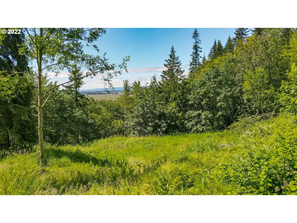 0 Columbia View Dr, Woodland, WA 98674 - #1