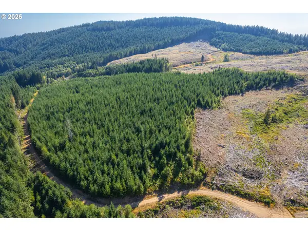 0 Bald Mountain Rd, Beaver, OR 97108