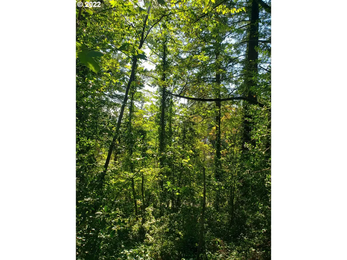 SW Hewett Blvd, Portland, OR 97221 - Image #1