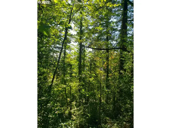 SW Hewett Blvd, Portland, OR 97221