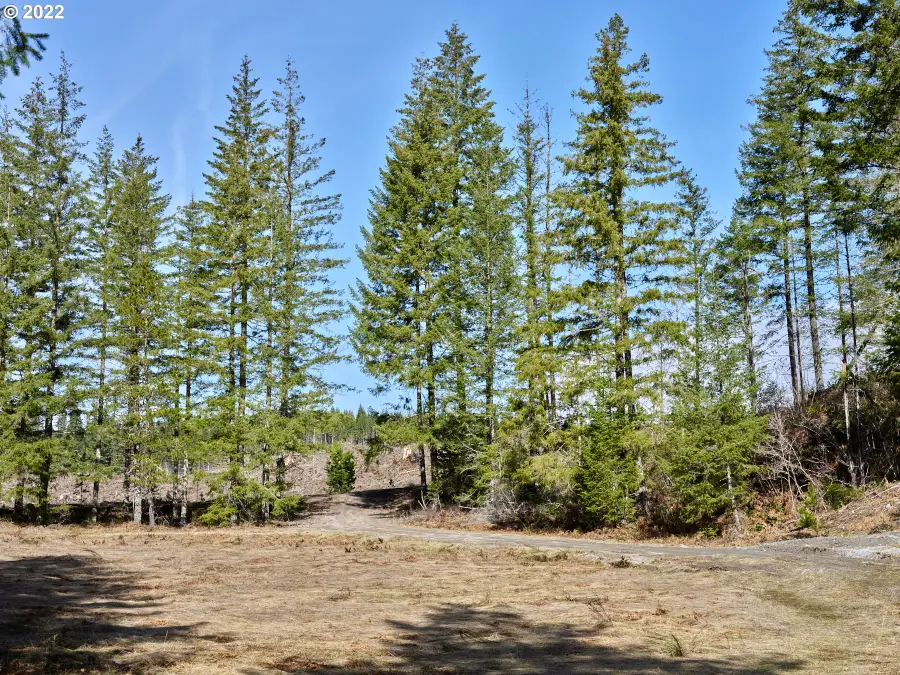 6 Loowit Ln, Cougar, WA 98616 - Image #3
