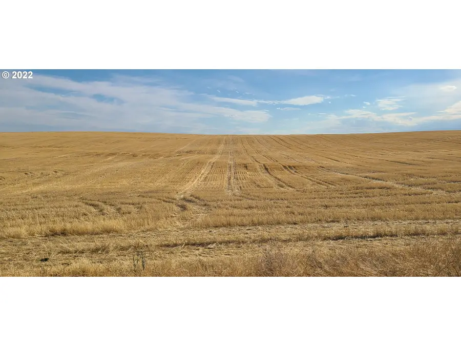 Barnum Ln, Grass Valley, OR 97029 - Image #2