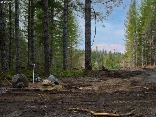 Lahar Ln #1A, Cougar, WA 98616