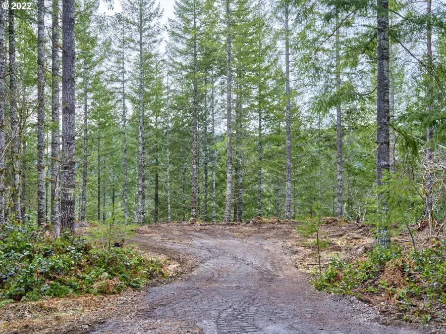 2 Lahar Ln, Cougar, WA 98616 - Image #3