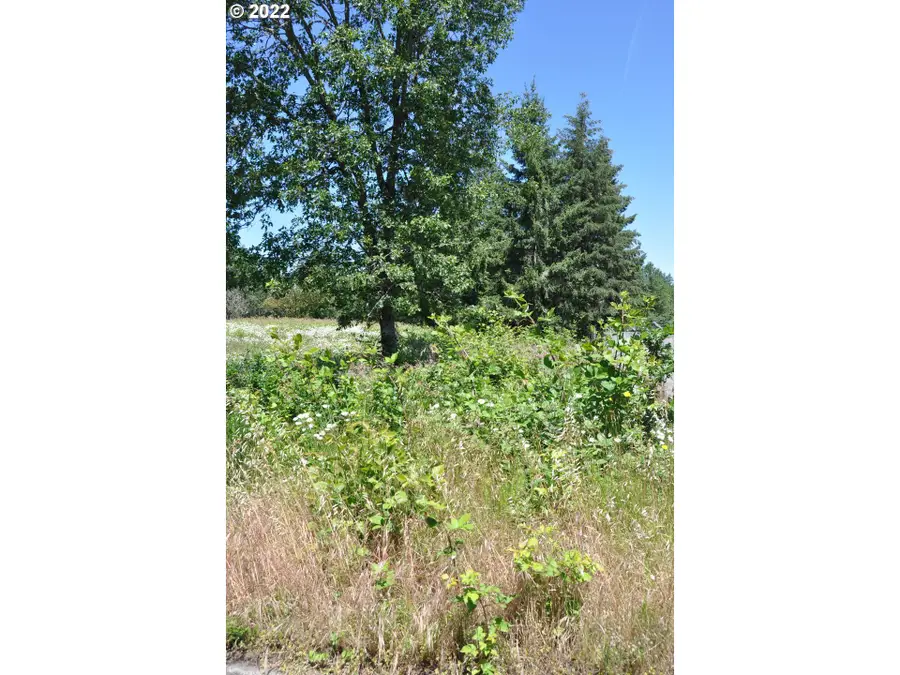 Jeans Rd, Veneta, OR 97487 - Image #3