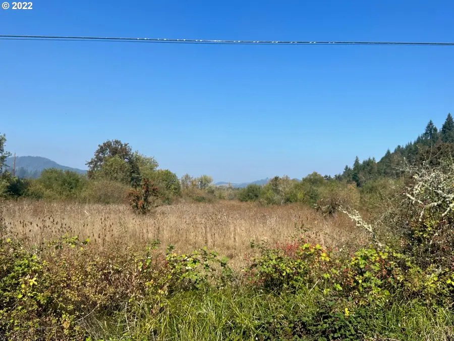 0 Wilson Rd, Yoncalla, OR 97499 - Image #3