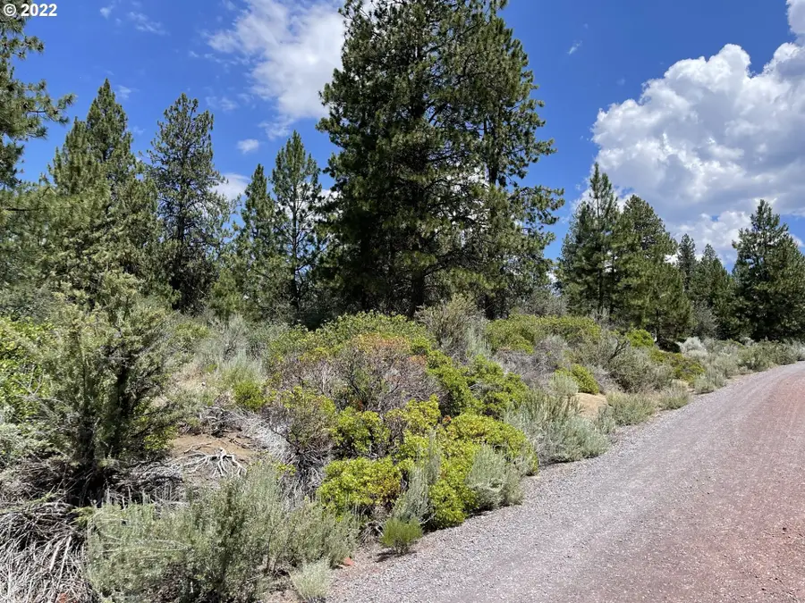 Legget Dr #22, Chiloquin, OR 97624 - Image #2