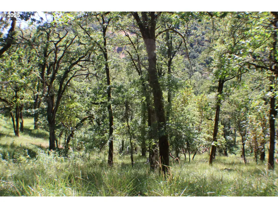 345 Sierra Dr, Roseburg, OR 97471 - Image #2