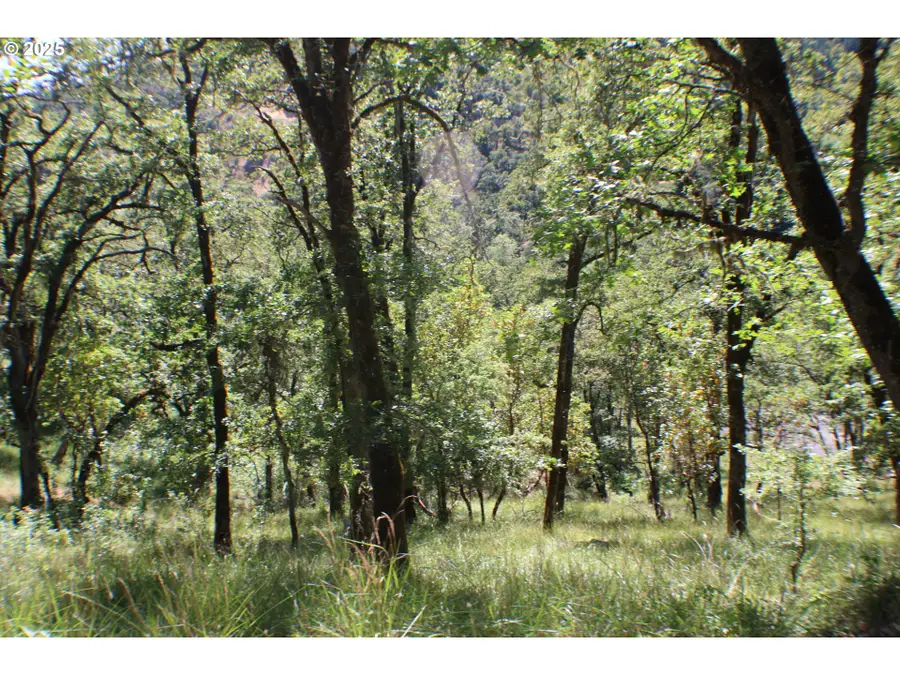 345 Sierra Dr, Roseburg, OR 97471 - Image #3