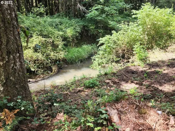 Carpenter Bypass Rd #501, Lorane, OR 97451