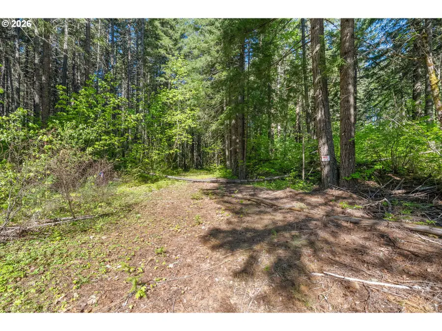 Hwy 141, White Salmon, WA 98672 - #3