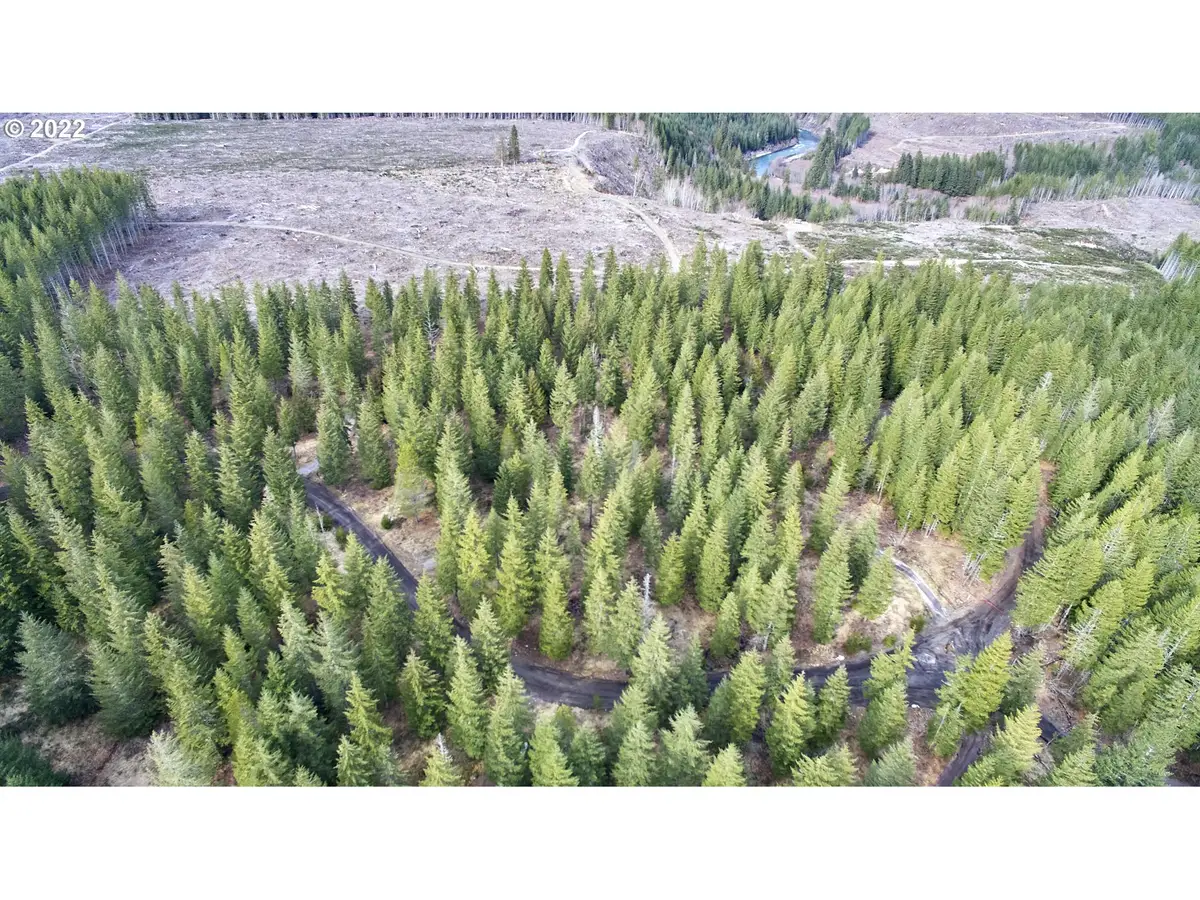 4 Loowit Ln, Cougar, WA 98616 - Image #1