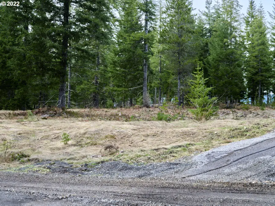 4 Loowit Ln, Cougar, WA 98616 - Image #3