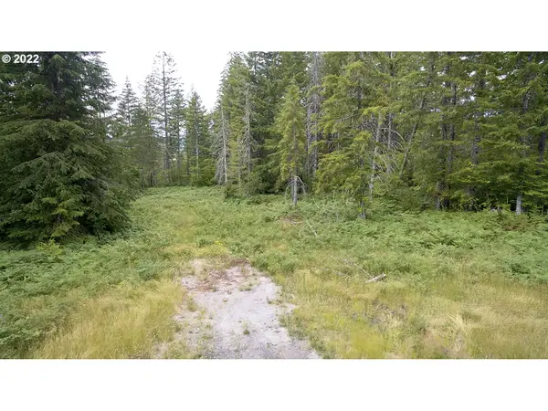 1 Lahar Ln, Cougar, WA 98616