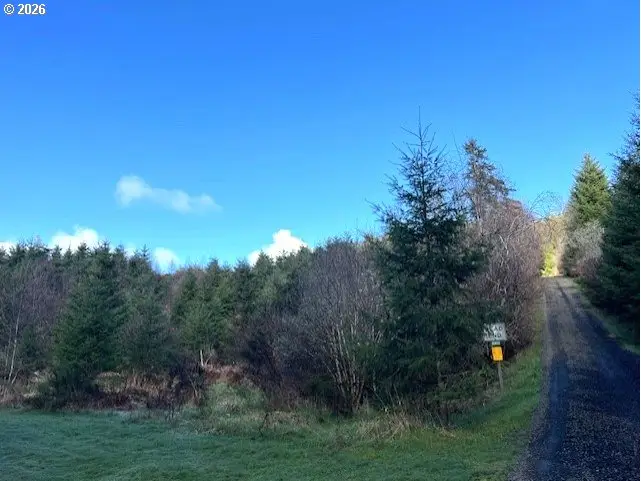 NW Wilcox Dr, Timber, OR 97144 - #1