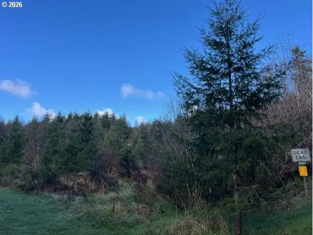 NW Wilcox Dr, Timber, OR 97144 - #2