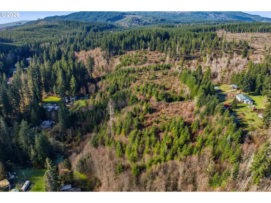 NW Wilcox Dr, Timber, OR 97144 - #3