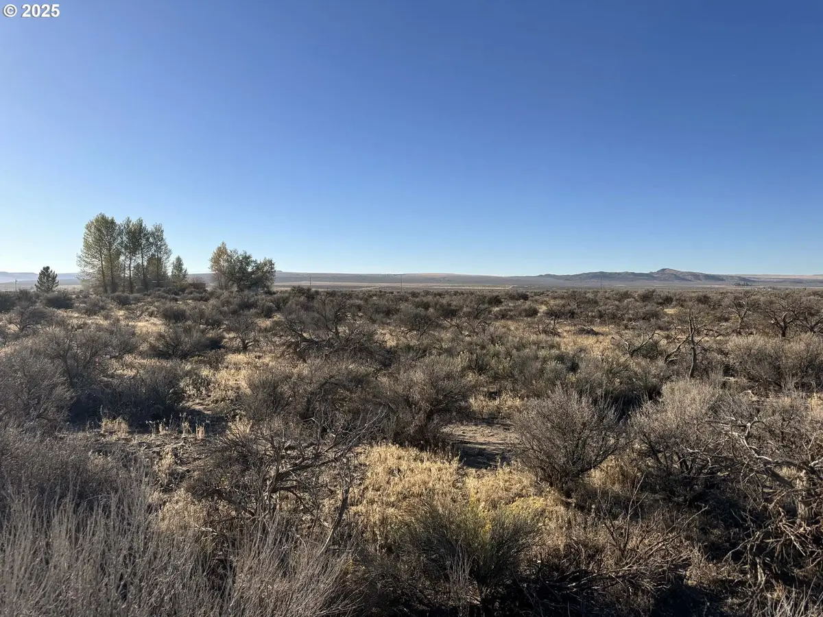 Pinion Lane, Silver Lake Fort Rock, OR 97641 - Image #1