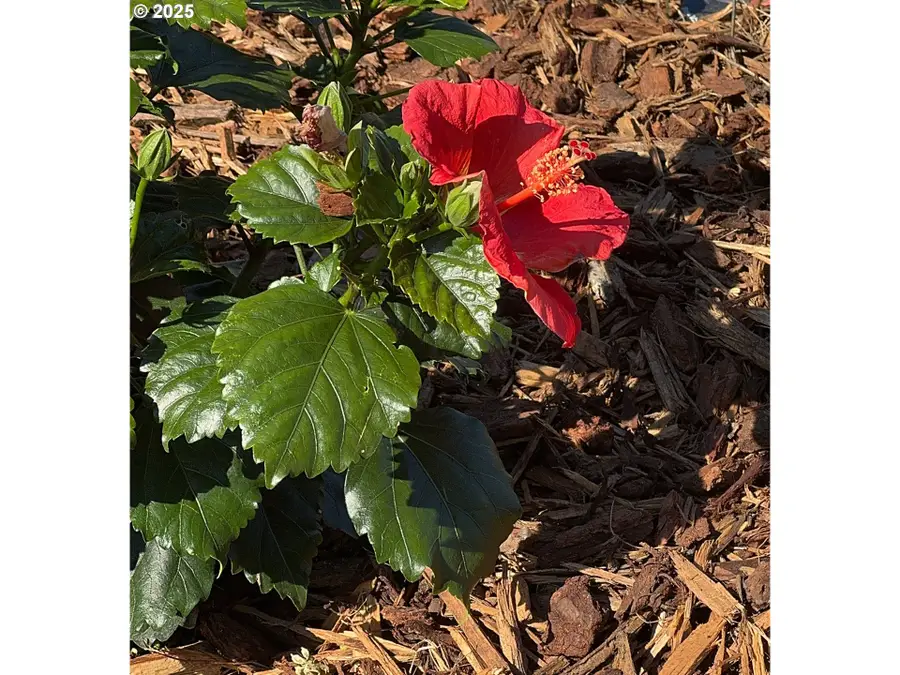 16391 S Hwy 101 #24, Brookings, OR 97415 - Image #2