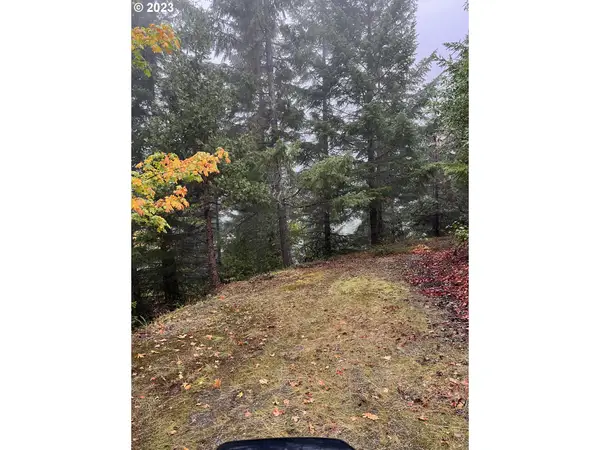 6232 Coyote Creek Rd, WolfCreek, OR 97497